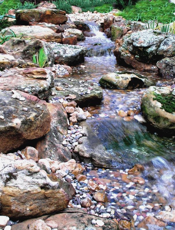Magnolia Ponds and Water Gardens, The Woodlands, Spring, Texas